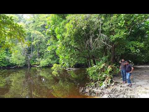 This is beautiful Laam Gan Paree fengandu.!