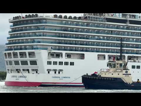 Thumbnail for Giant cruise ship