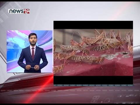 EVENING NEWS FATAFAT - NEWS24 TV