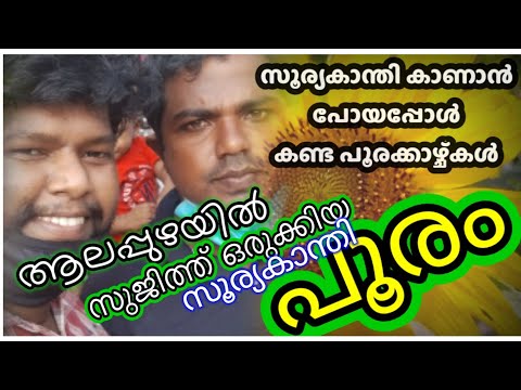 SOORYAKANDHI FLOWER FARM I SUJITH I SUNFLOWER FARMING IN ALAPPUZHA I SvG's VIDEO COVER