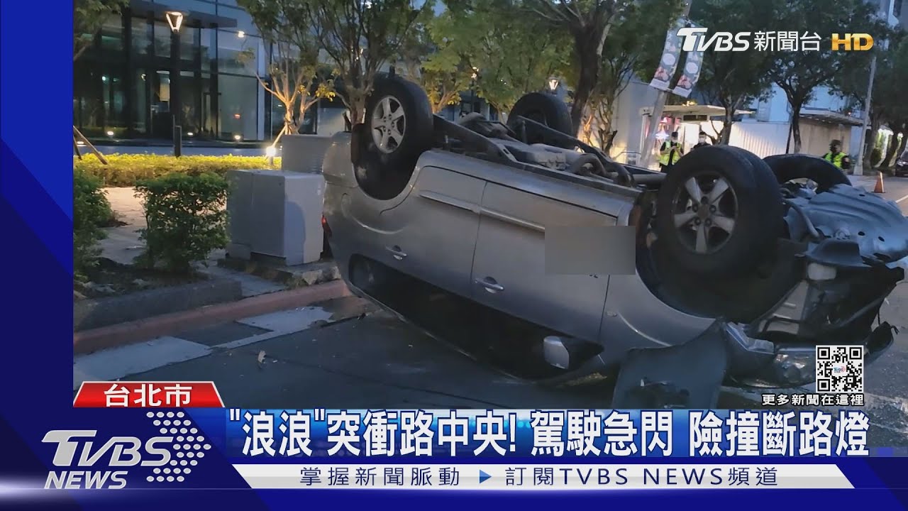 「浪浪」突衝路中央！駕駛急閃　險撞斷路燈