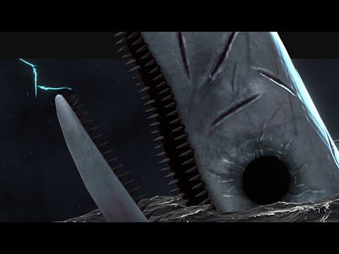 [Limbus Company] Palid Whale