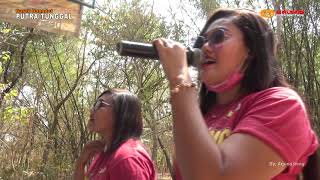 Download lagu Wadon Kandek - Putra Tunggal mp3