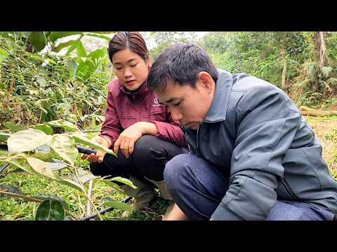 Hoi helped Hong drag the water hose to her house. Hong was very grateful for his help.