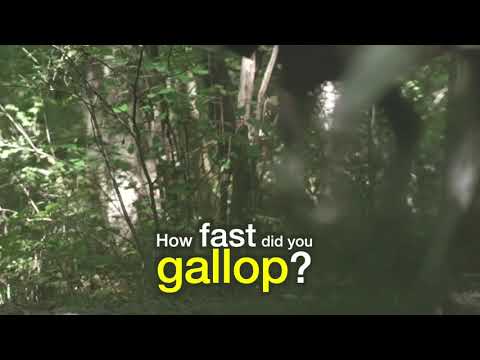 HorseGlobe - Share Your Trails Video