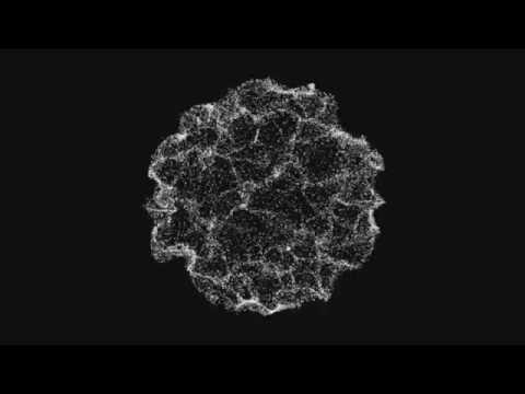 Choppa Dunks – Do Dat (feat. Snappy Jit)