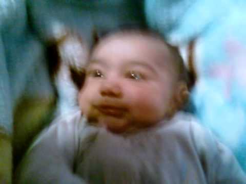 ALTIN ROCI,   migeli vogel,  2015