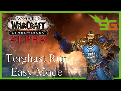 Torghast, Tower of the Damned is Incredible - Shadowlands Alpha Gameplay