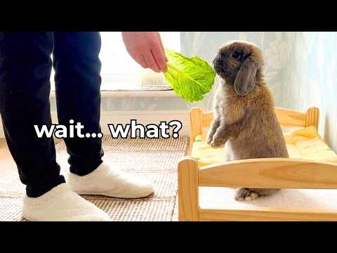 This Afternoon Took an Unexpected Turn 🤍