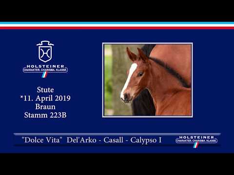 Holsteiner Fohlenauktion am 15. Juni 2019 | Nr. 10 - Dolce Vita v. Del Arko-Casall