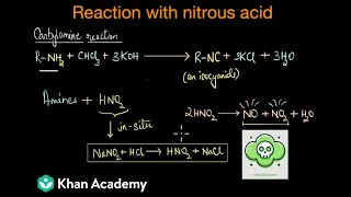 Reaction of amines with nitrous acid| Amines | Class 12 | Chemistry | Khan Academy