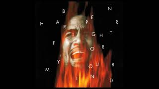 Ben Harper ‎– Fight For Your Mind (1995)