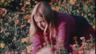 The Babe Rainbow - Eureka / Alan Chadwick&#39;s Garden