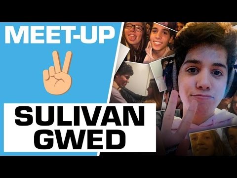 Meet-up : Sulivan Gwed rencontre ses abonnés ! - Marion et Anne-So