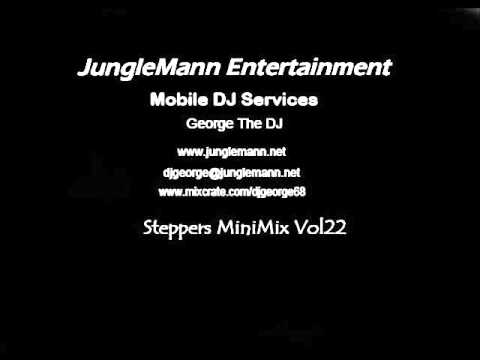 Steppers MiniMix Vol22