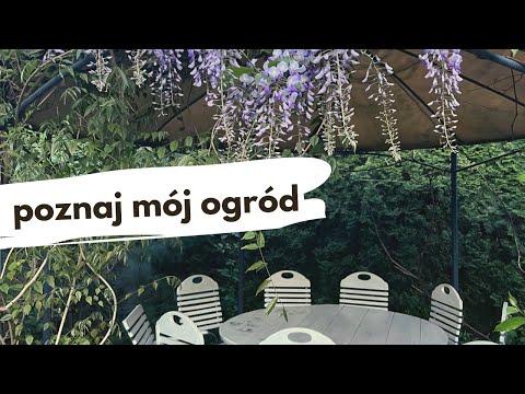 Mój ogród. Łamiemy zasady. Złoto natury.