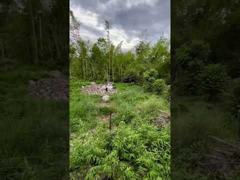 Finca en venta en Rivera Huila #realestate