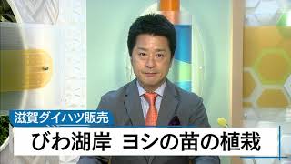 11月３日 びわ湖放送ニュース