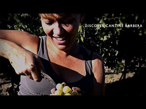 Cantine Barbera | An Introduction