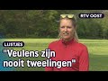 Van lapjeskalf tot tweeling-veulen: lente op de boerderij | RTV Oost