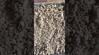 How to turn Acorns into Pancakes! #homesteading #sustainableliving #foraging #offgridliving