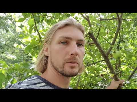 Vildapel, gynna fågel och vilt för ett mer naturligt skogsbruk.