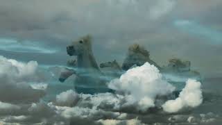 BUDDY MILLER - SHAWN COLVIN - WILD HORSES