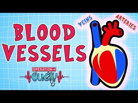 Operation Ouch Blood Vessels Science For Kids