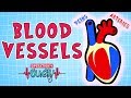 Operation Ouch Blood Vessels Science For Kids