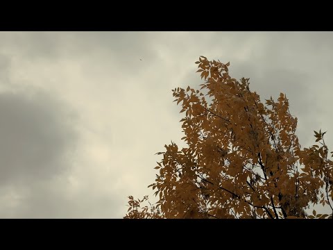 Evgeniy Nikolaev - Когда (Official Lyric Video)