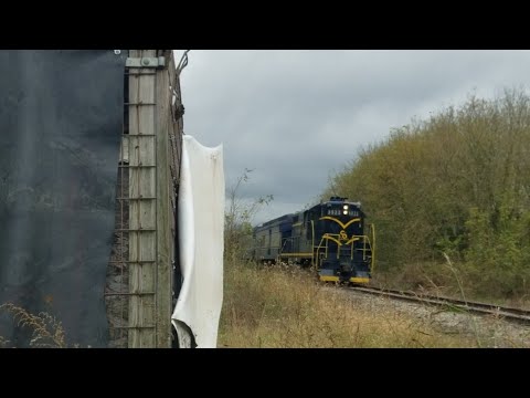 youtube embeded image
