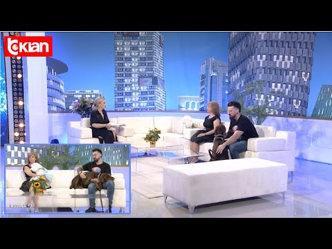 Rudina - Kujdesi ndaj kafshëve shtëpiake gjatë stinës së nxehtë: Si t’i ndihmojmë katërputroshët?