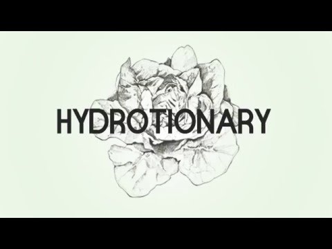 HYDROPONIC VS SOIL