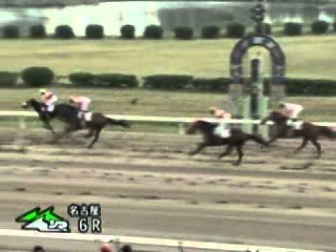 Silvano's NAR debut in Nagoya Keiba-cho on 20 Oct 2010, 1400m finished 3rd and he is no.1