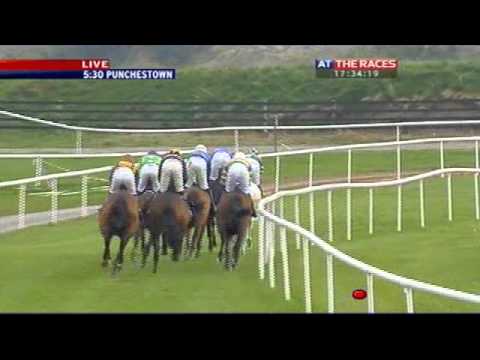 Punchestown Guinness Gold Cup 2011
