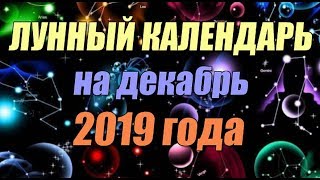 Рыболовный календарь на декабрь 2019
