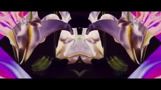 Videoklipy interpreta Bearson