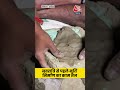 Ayodhya News Navaratri से पहले अयोध्या में मूर्ति नि