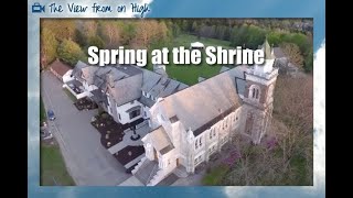 Spring at the National Shrine of the Divine Mercy
