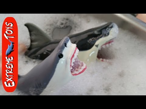 Shark Toys take a bath.  What sharks are in the bubbles?