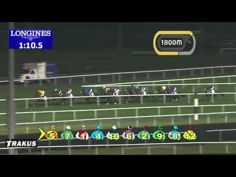 01.03.2014 Meydan (Dubai-UAE) 5.Race Nad Al Sheba Trophy 2014 - Group III 2.810 m