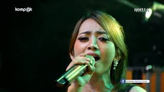 Download lagu serigala berbulu domba Adella mp3