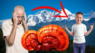 Live FOREVER?! - The Legend Of The Reishi Mushroom