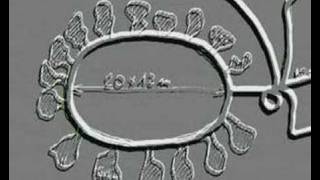 Wogastisburg známý neznámý