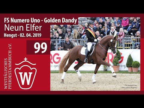 99 Neun Elfer Hengst v. FS Numero Uno - Golden Dandy