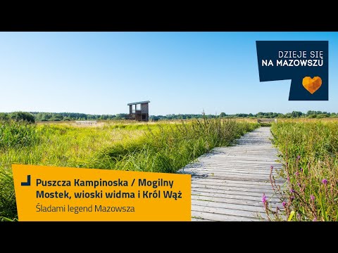 Śladami legend Mazowsza - Mogilny Mostek, wioski widma i Król Wąż / Puszcza Kampinoska