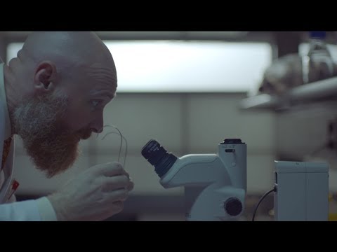 NOMAD SKATEBOARD SCIENTIST