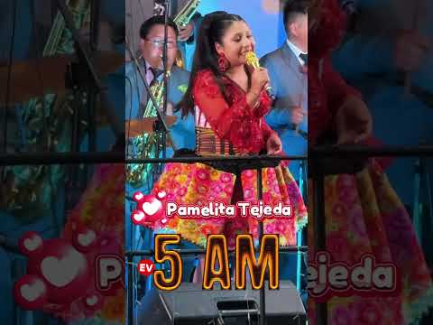 PAMELITA TEJEDA - CINCO DE LA MAÑANA