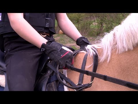 Vielseitige Grundausbildung - Geländereiten: Die Zügelbrücke