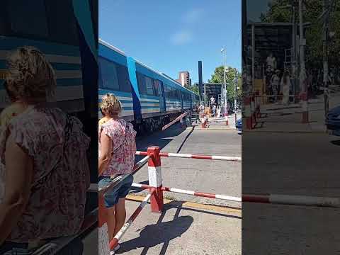 En La Barrera!! Tren saliendo de la estación San Isidro #argentina #trenes #lineamitre #sanisidro